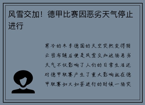 风雪交加！德甲比赛因恶劣天气停止进行