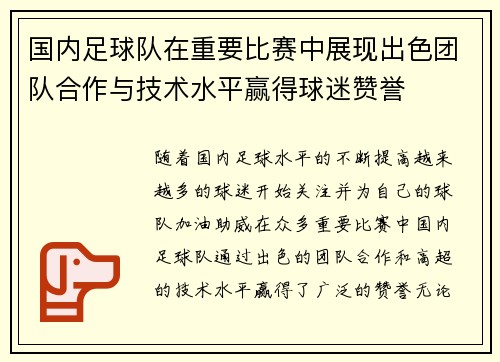 国内足球队在重要比赛中展现出色团队合作与技术水平赢得球迷赞誉