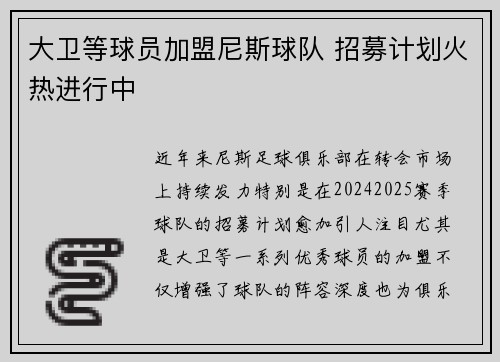 大卫等球员加盟尼斯球队 招募计划火热进行中