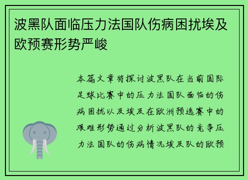 波黑队面临压力法国队伤病困扰埃及欧预赛形势严峻