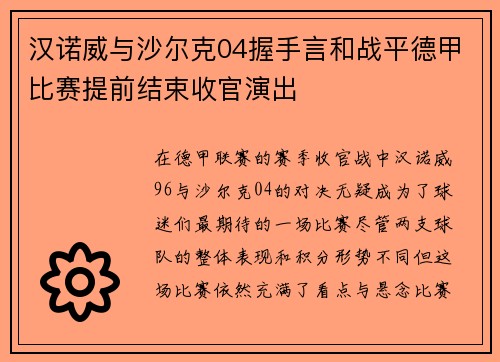 汉诺威与沙尔克04握手言和战平德甲比赛提前结束收官演出