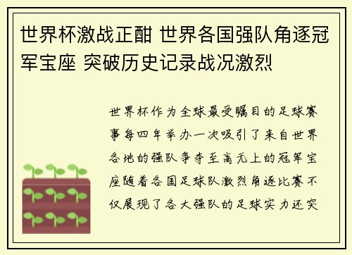 世界杯激战正酣 世界各国强队角逐冠军宝座 突破历史记录战况激烈